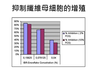 06 休眠因子抑制纖維母細胞增殖實驗